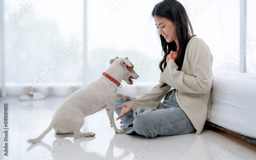 Cheerful woman in casual clothes spending her free time on vacation playing with cute pet at home.