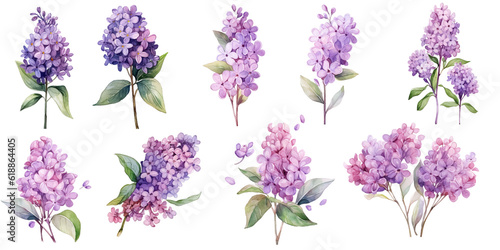 Papier peint Bundle of Watercolor Illustrations Set of lilac Flowers with Expressions of Leav