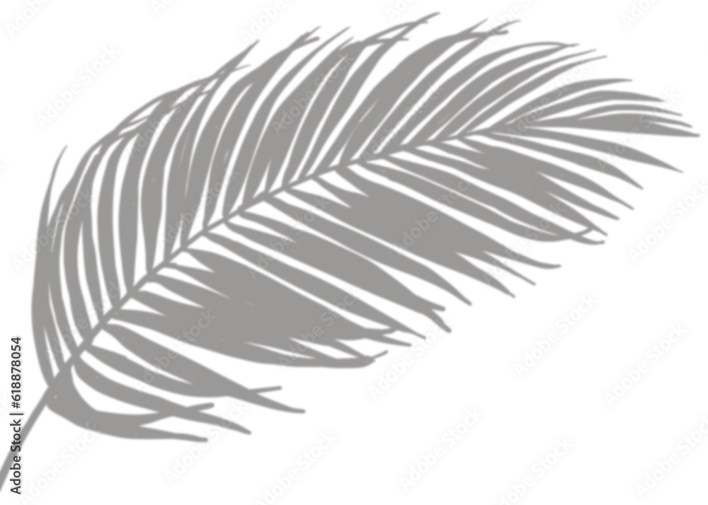 Fototapeta premium Shadow Palm Leaves, Tropical Coconut Leaf Overlay, Element object for Spring Suumer, Mock up Product Presentation