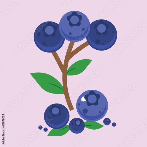 Vector illustration of fresh bluberry with leaves. Sweet fruit in blue color isolated on white background. photo