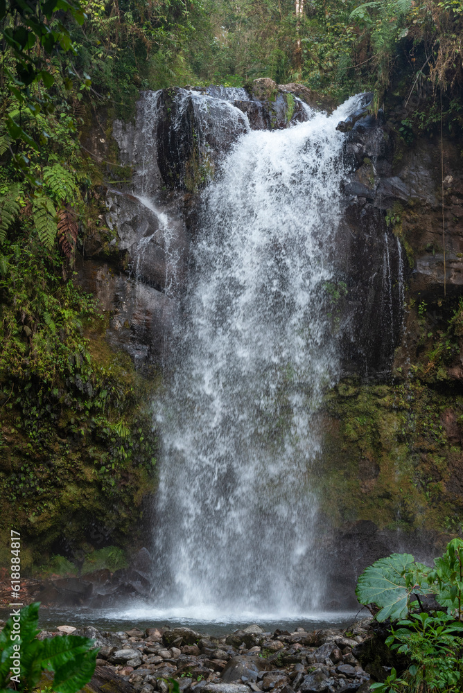 Obraz premium The Lost Waterfalls inside a cloud forest, Boquete, Panama - stock photo