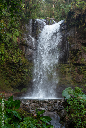 Fototapeta Naklejka Na Ścianę i Meble -  The Lost Waterfalls inside a cloud forest, Boquete, Panama - stock photo