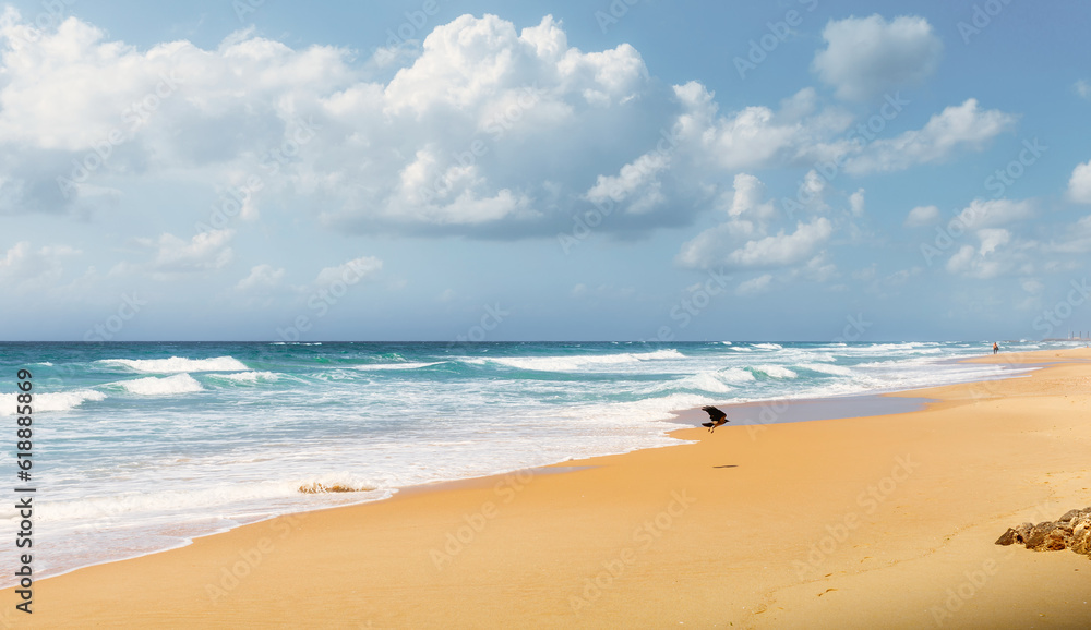 Fototapeta premium seascape, a walk on the golden beach of the Mediterranean Sea