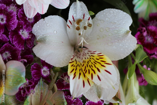 Mixed bouquet
