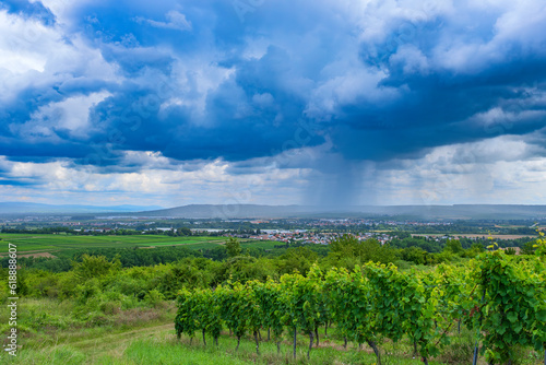 View of the vineyards near Bretzenheim Germany in Rheinhessen with an approaching thunderstorm