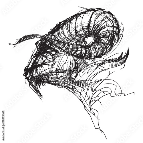 Capricorn. Fantasy animal with horns. Line drawing of a head. Vector illustration animal