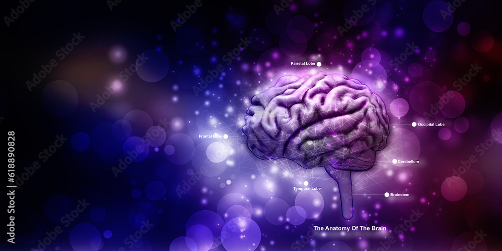 3d illustration Human health brain 3d illustration Human health brain
