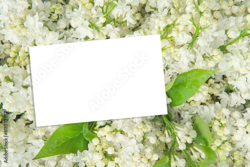 Closeup white lilac background with business paper card