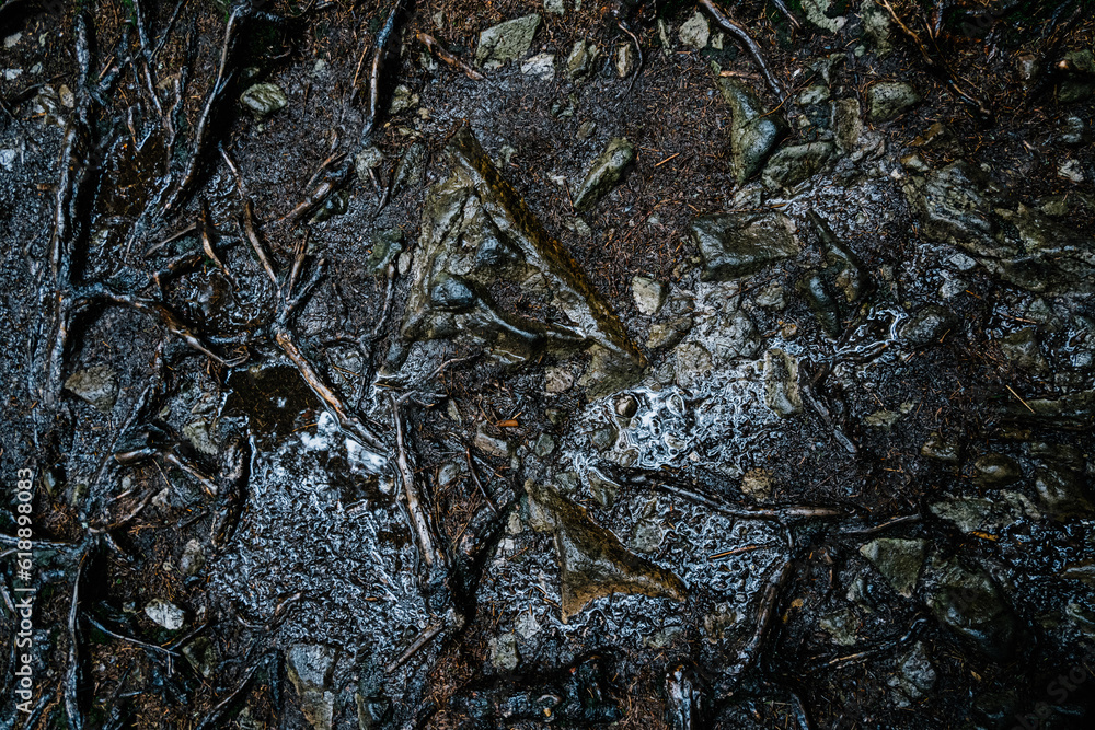 Fototapeta premium close up of a texture