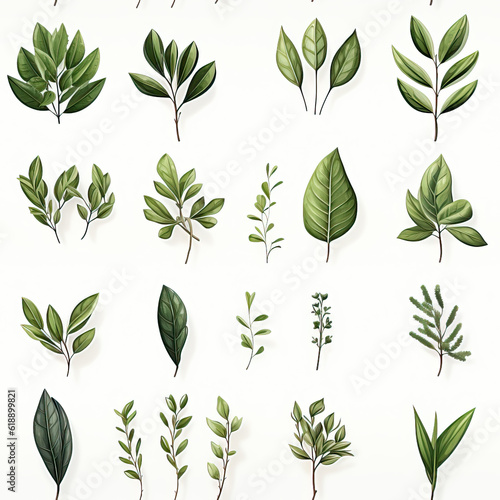 Herbarium seamless repeat pattern