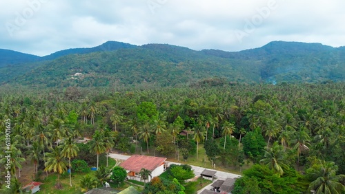 Aerial drone top view Tropical palm forest in Indonesia. Dynamic shot of a village in a tropical palm forest. Dynamic shot of houses and a tropical palm forest in the mountains.