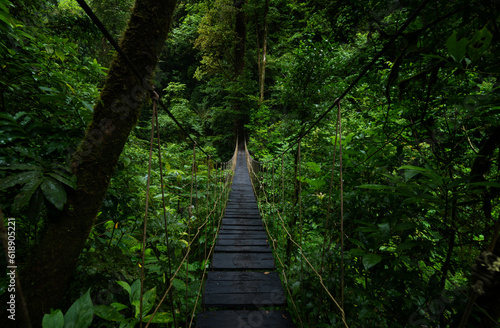 Wooden suspension bridge in the jungle of Costa Rica
