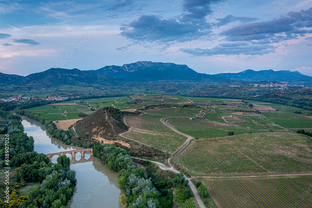 Aerial view over Vineyards, Haro, Spain