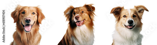 Cute dog portrait isolated. Illustration AI Generative.