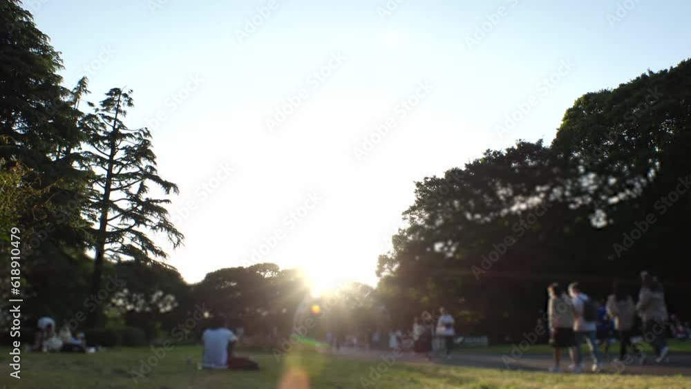SHIBUYA, TOKYO, JAPAN - JUNE 2023 : View of YOYOGI PARK in sunny daytime. Time lapse shot. City and nature concept 4K video. SHIBUYA, TOKYO, JAPAN - JUNE 2023 : View of YOYOGI PARK in sunny daytime. Time lapse shot. City and nature concept 4K video.