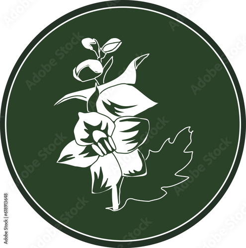 Celtic horoscope floral. Druid logo in a circle. Flower delphinium: from August 24 to September 2. Astrological calendar. Botanical drawing larkspur