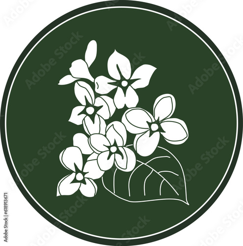 Celtic horoscope floral. Druid logo in a circle. Lilac flower: from 14 to 23 October. Astrological calendar. Botanical drawing common lilac