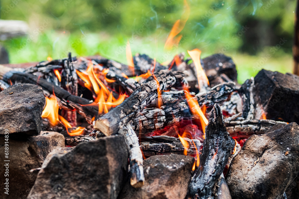 Campfire for cooking in the forest. Burning fire. The fire burns in the forest. Burning fire texture. Burning dry branches. Tourist fire in the forest. Texture of burning branches. Campfire for cooking in the forest. Burning fire. The fire burns in the forest. Burning fire texture. Burning dry branches. Tourist fire in the forest. Texture of burning branches.