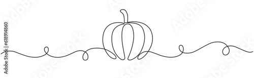 Pumpkin line art vector illustration photo