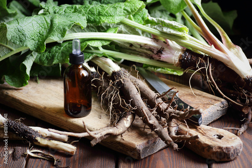 Healthy burdock root and fresh plant leaves on cutting board on rustic background, dietary herb, homemade remedy, naturopathy, phytotherapy concept