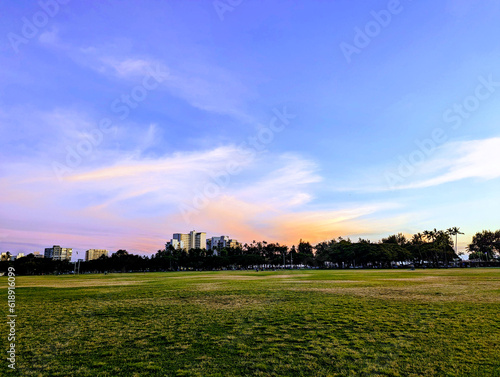 Serene Green Field and Urban Skyline in Kapiolani Park photo