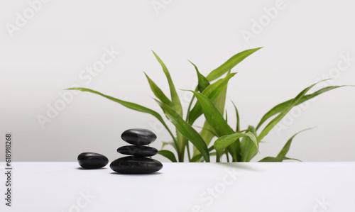 Black stone and Green bamboo leaf. Nature platform podium horizontal background. Minimal empty display product presentation scene..