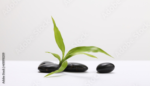 Black stone and Green bamboo leaf. Minimal empty display product presentation scene.