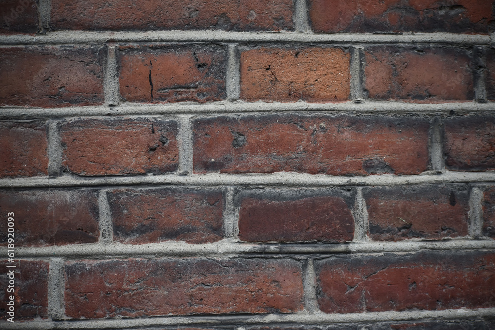 Obraz premium Brick wall - background, texture