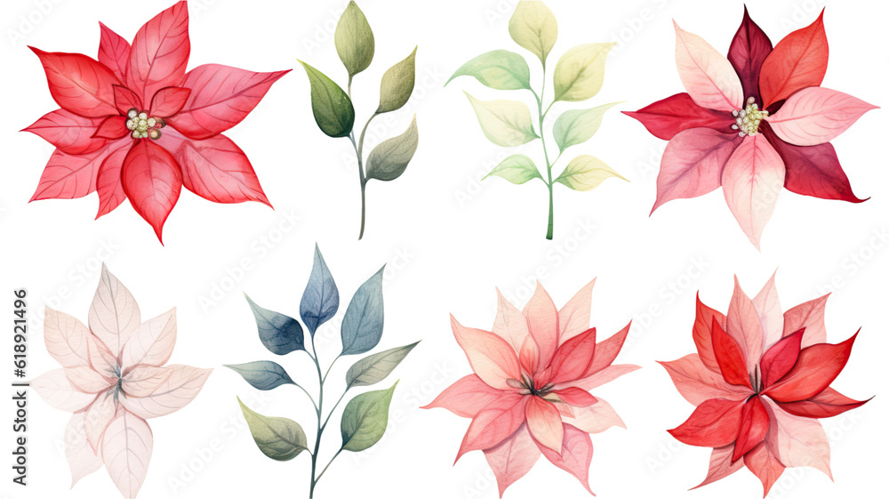 a collection of soft watercolor poinsettias flowers isolated on a transparent background, generative ai