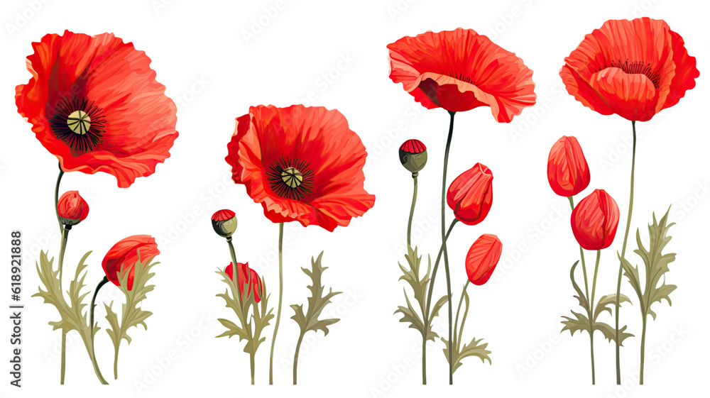 Fototapeta premium collection of hand drawn poppies flowers isolated on a transparent background, generative ai