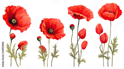 collection of hand drawn poppies flowers isolated on a transparent background  generative ai