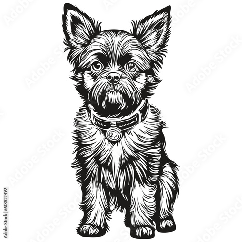 Affenpinscher dog silhouette pet character, clip art vector pets drawing black and white