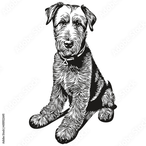 Airedale Terrier dog vector face drawing portrait, sketch vintage style transparent background