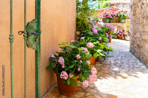 View into an Urban Garden of Hydrangeas Through a Green Gate Door in Croatia