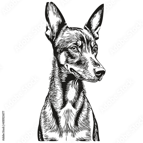 German Pinscher dog logo vector black and white, vintage cute dog head engraved realistic breed pet