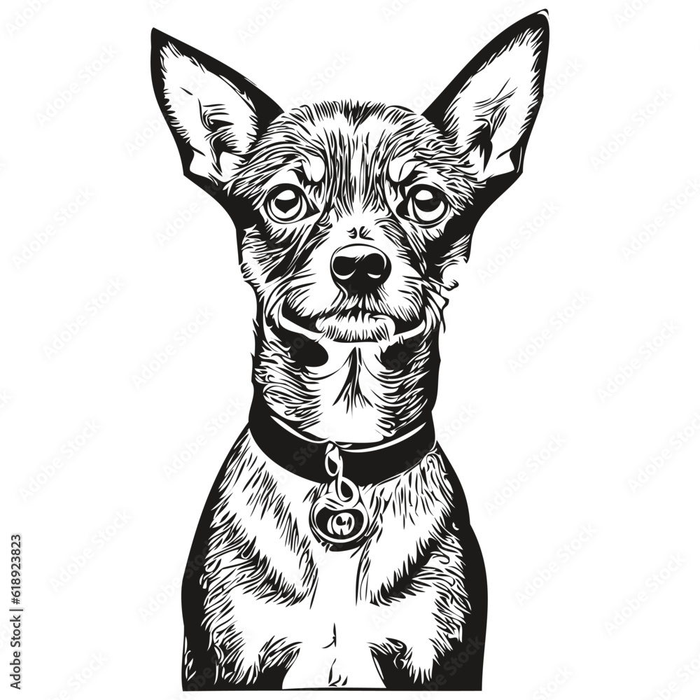 Miniature Pinscher dog silhouette pet character, clip art vector pets drawing black and white realistic breed pet