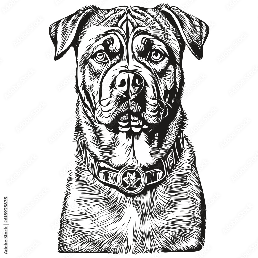 Neapolitan Mastiff dog face vector portrait, funny outline pet illustration white background sketch drawing Neapolitan Mastiff dog face vector portrait, funny outline pet illustration white background sketch drawing