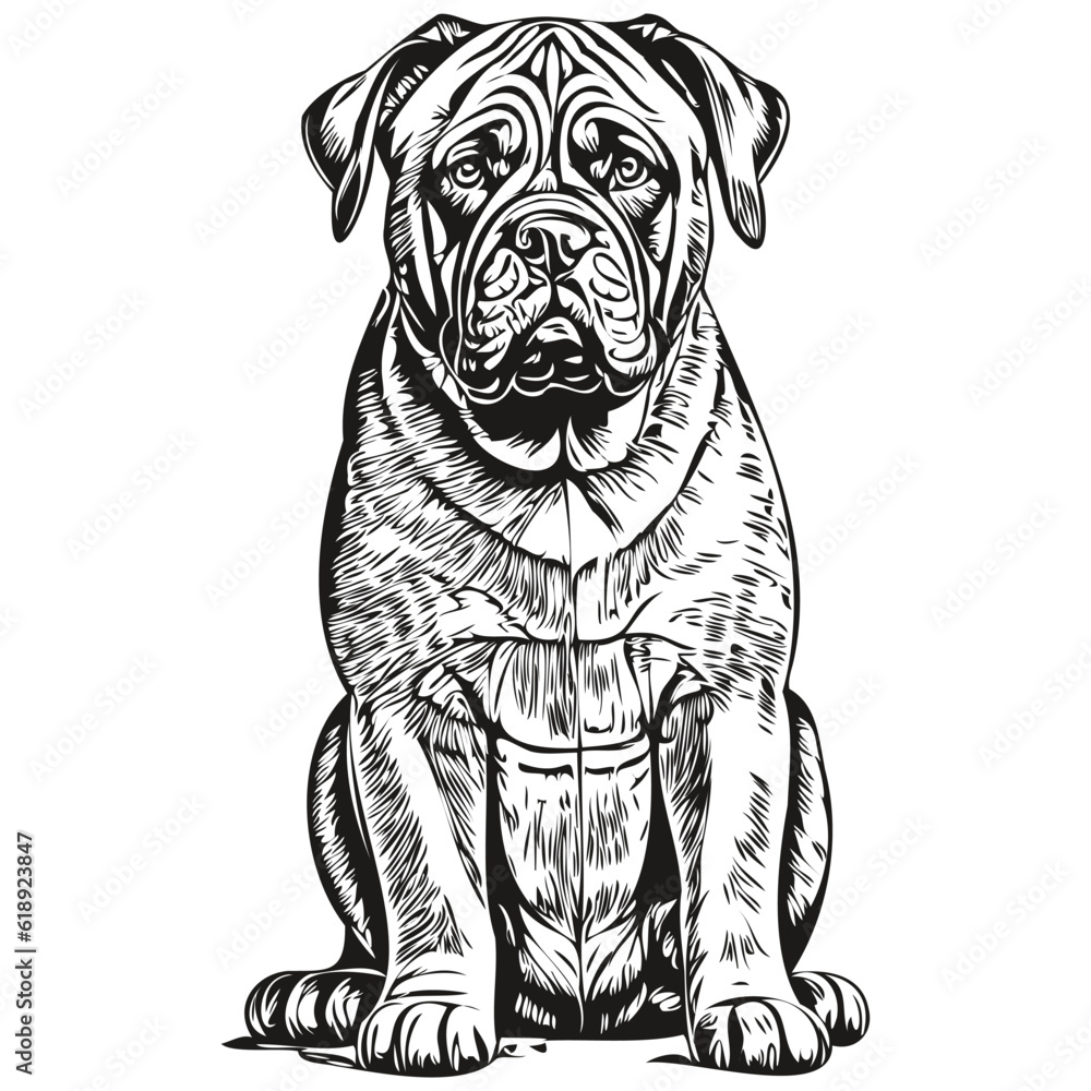 Neapolitan Mastiff dog realistic pencil drawing in vector, line art illustration of dog face black and white realistic breed pet Neapolitan Mastiff dog realistic pencil drawing in vector, line art illustration of dog face black and white realistic breed pet