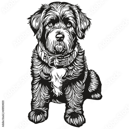 Portuguese Water dog silhouette pet character, clip art vector pets drawing black and white