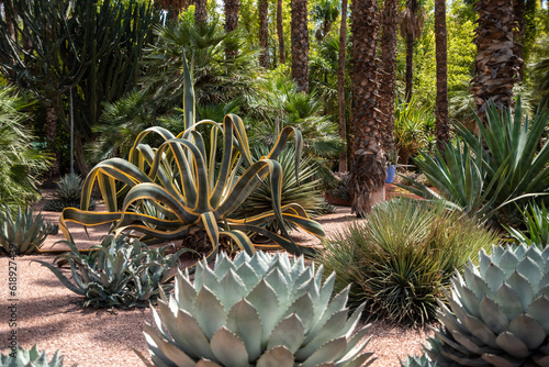 Peaceful park in the Nouvelle Ville of Marrakech