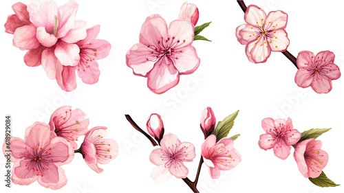 a collection of grunge oil painted cherry blossoms isolated on a transparent background  generative ai