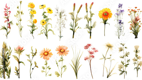 a collection of grunge oil painted wildflowers isolated on a transparent background, generative ai