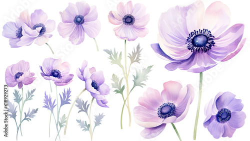 a collection of soft watercolor anemones flowers isolated on a transparent background, generative ai