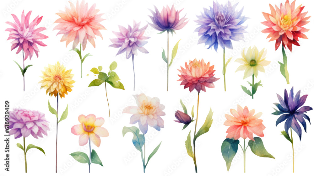 a collection of soft watercolor dahlia flowers isolated on a transparent background, generative ai