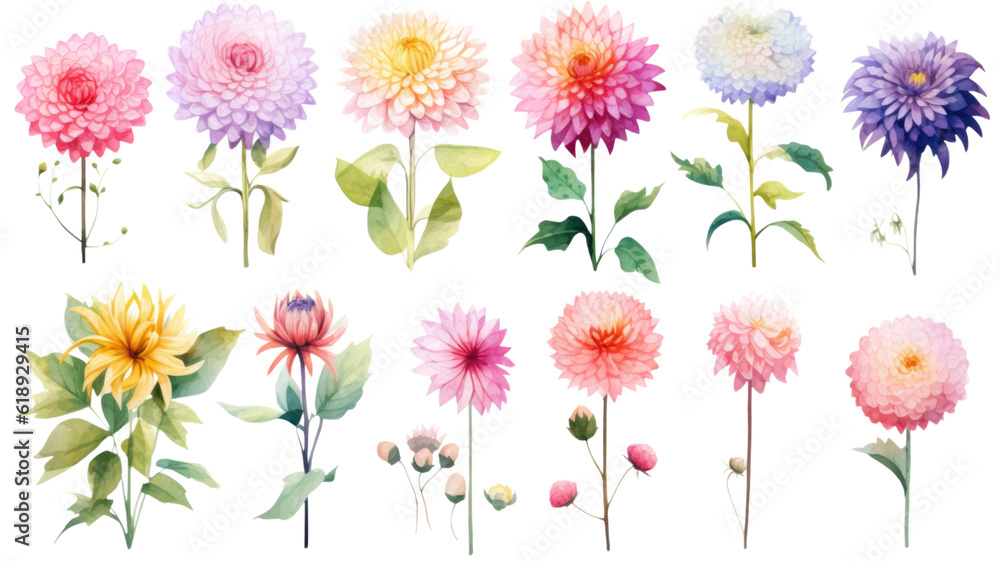 a collection of soft watercolor dahlias flowers isolated on a transparent background, generative ai