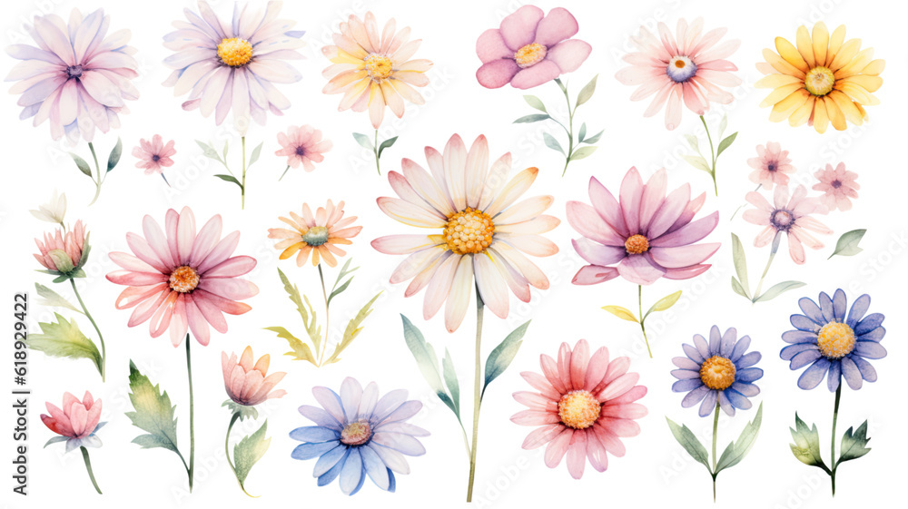 a collection of soft watercolor daisies flowers isolated on a transparent background, generative ai a collection of soft watercolor daisies flowers isolated on a transparent background, generative ai