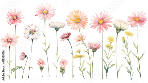 a collection of soft watercolor daisies flowers isolated on a transparent background, generative ai