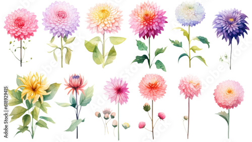 a collection of soft watercolor dahlias flowers isolated on a transparent background, generative ai