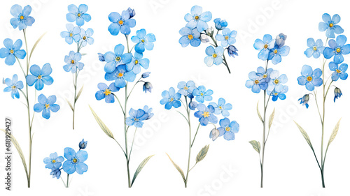 a collection of soft watercolor forget-me-nots flowers isolated on a transparent background  generative ai