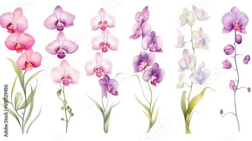 a collection of soft watercolor orchids flowers isolated on a transparent background  generative ai